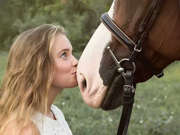 bonding with a horse